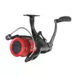 Penn Fierce V Live Liner 4000 - Kevyet rannikkokelat - 031324064379 - 2