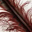 Veniard Cock Pheasant Knotted Tail - Muut sulat ja höyhenet - 40450300039 - 6