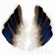 Veniard Mallard Duck Wing Quills - Klassiset sulat - 5056304601936 - 2