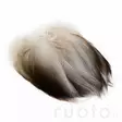 Wapsi Bronze Spey Mallard - Klassiset sulat - 053526048049 - 2