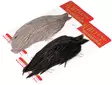 Whiting Hen Cape - Kananniskat ja -satulat - 40350200199 - 1