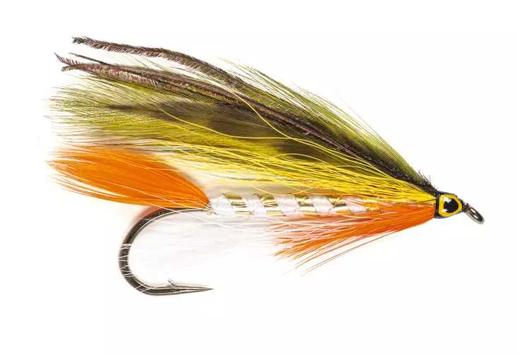 Golden Shiner -streameri - Streamerit ja liitsit - 8859202536099 - 1