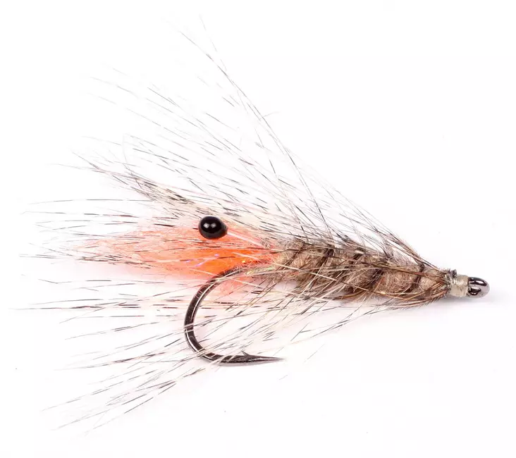 Laser Shrimp - Katka-/katkarapuperhot - 7033840131439 - 2