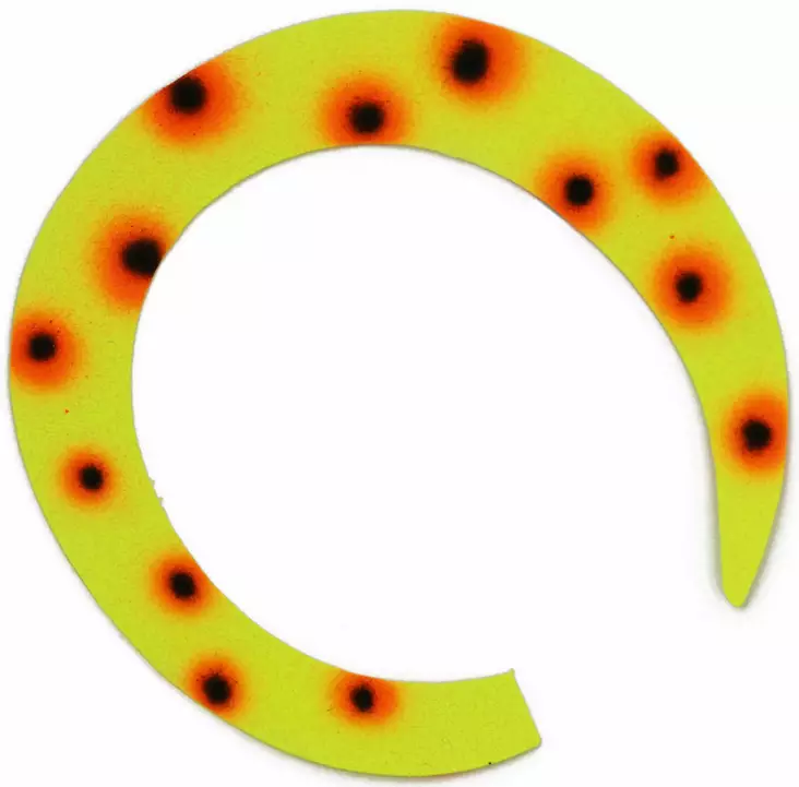 Pacchiarinis Wiggle Tails Custom - Muut sidontatarvikkeet - 40850006529 - 1