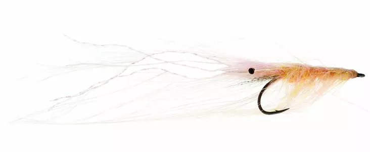 Pattegris Salmon -katkaperho - Katka-/katkarapuperhot - 5707549438329 - 1