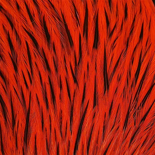 Whiting Freshwater Streamer Rooster Cape - Muut kukonniskat ja -satulat - 40350200099 - 2