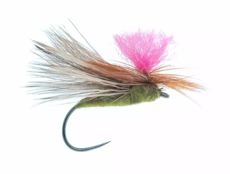 CDC Caddis Barbless Olive - Pintaperhot - G1113BL-10O - 1
