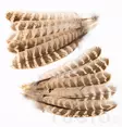Veniard Hen Pheasant Wing Quills - Muut sulat ja höyhenet - 5056304604593 - 1