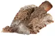 Veniard English Partridge Complete Skin - Nahat, siivet ja päät - 5056304603442 - 1